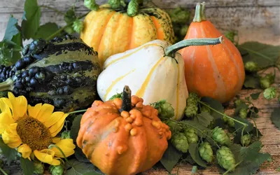 How to Prepare Your Kitchen for a Thanksgiving Feast