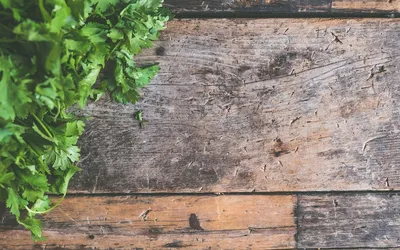 Our 10 Best Cooking Tips